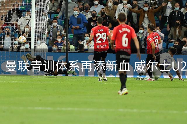 曼联青训体系再添新血 威尔士U21门神马吉森加盟